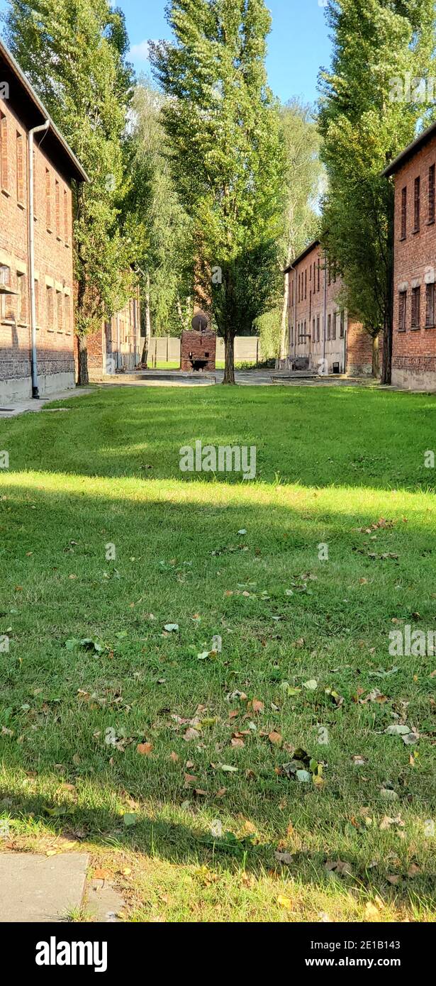 Muro morto nel campo di concentramento nazista Aushwitz i a Oswiecim, Polonia Foto Stock