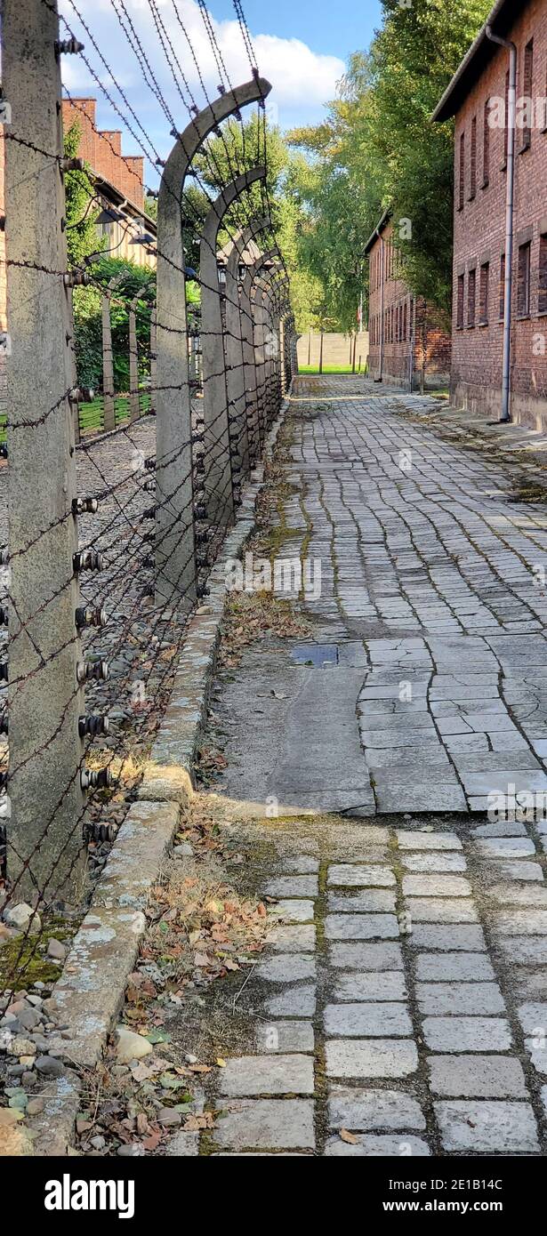 Edifici e recinzione del campo con filo spinato che lo circonda, campo di sterminio nazista Auschwitz i, Oświęcim, Polonia Foto Stock