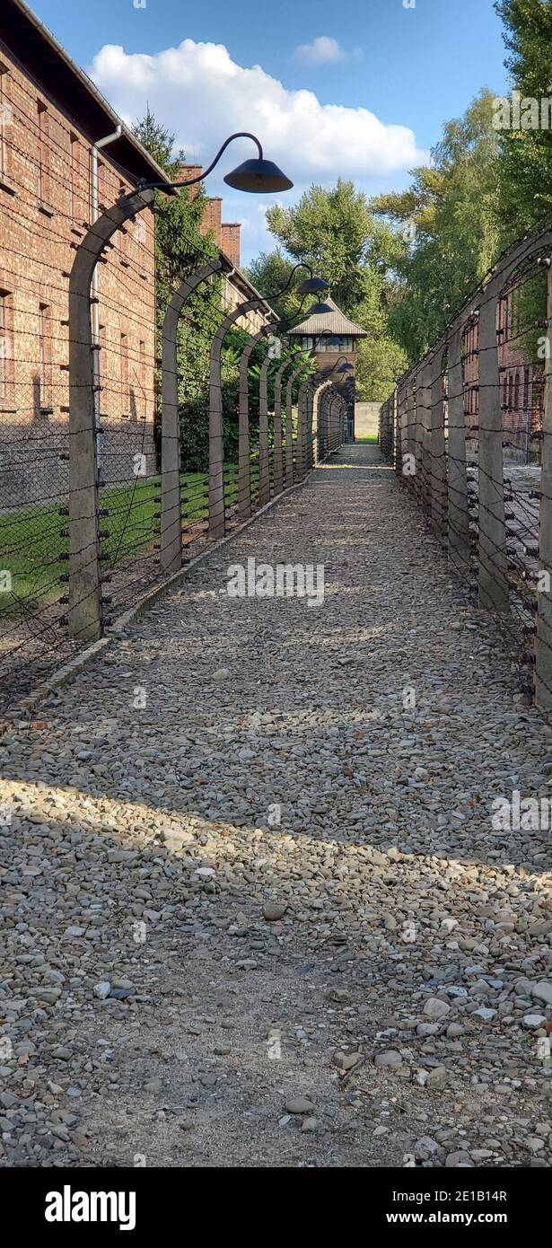 Edifici e recinzione del campo con filo spinato che lo circonda, campo di sterminio nazista Auschwitz i, Oświęcim, Polonia Foto Stock