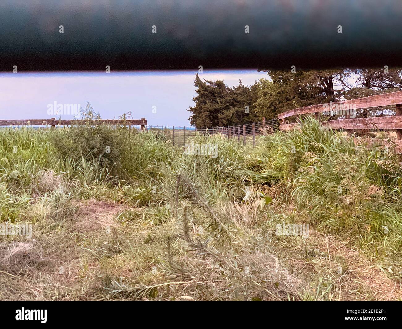 Old bovino corral nel paesaggio pascolo del Nebraska. Foto di alta qualità Foto Stock