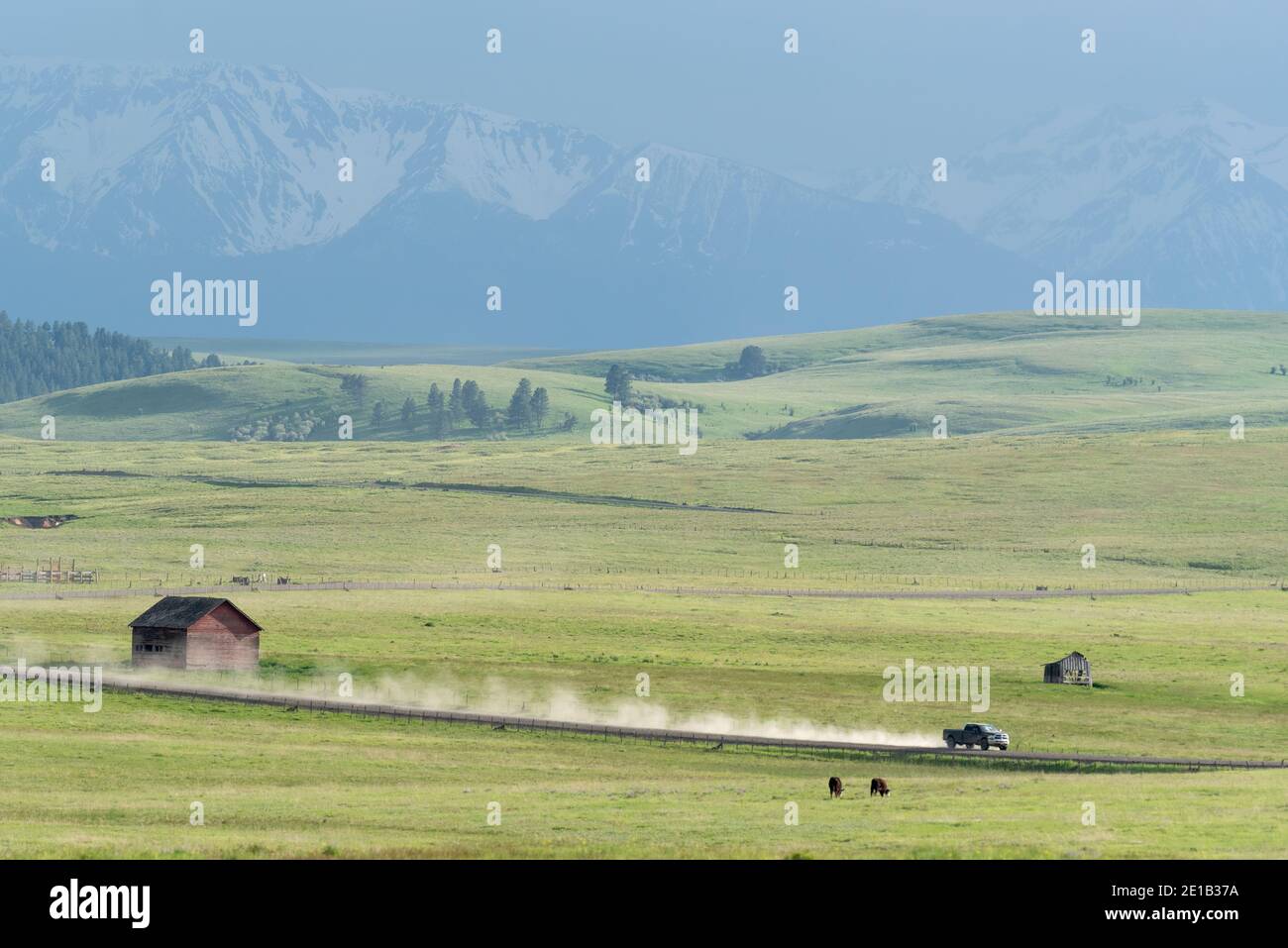 Camion sulla Zumwalt Road, contea di Wallowa, Oregon. Foto Stock