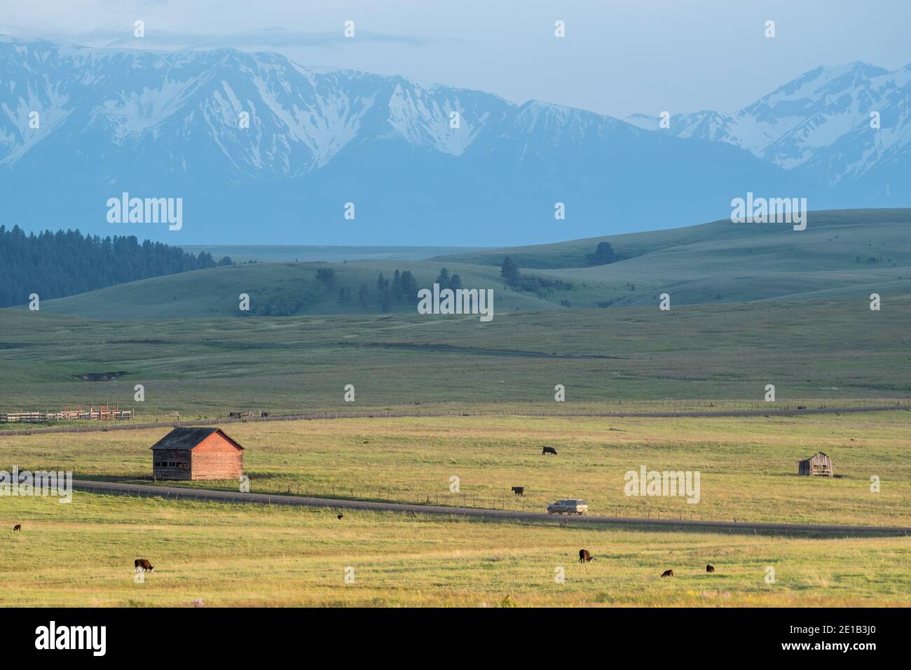 Camion sulla Zumwalt Road, contea di Wallowa, Oregon. Foto Stock