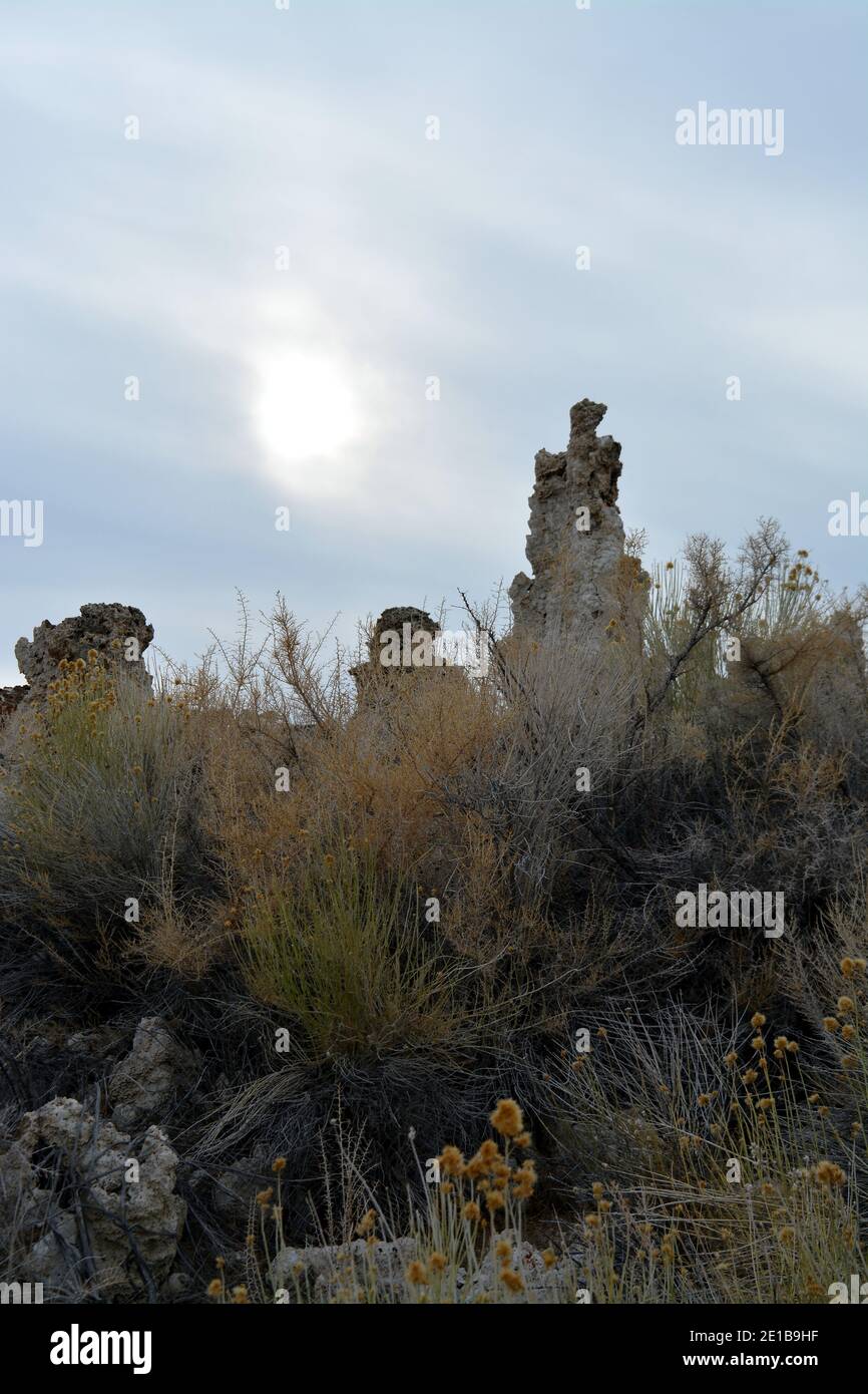 Bellissima riserva naturale di Mono Lake tufa nella California orientale in un freddo giorno di dicembre, pinnacoli di tufo al crepuscolo Foto Stock