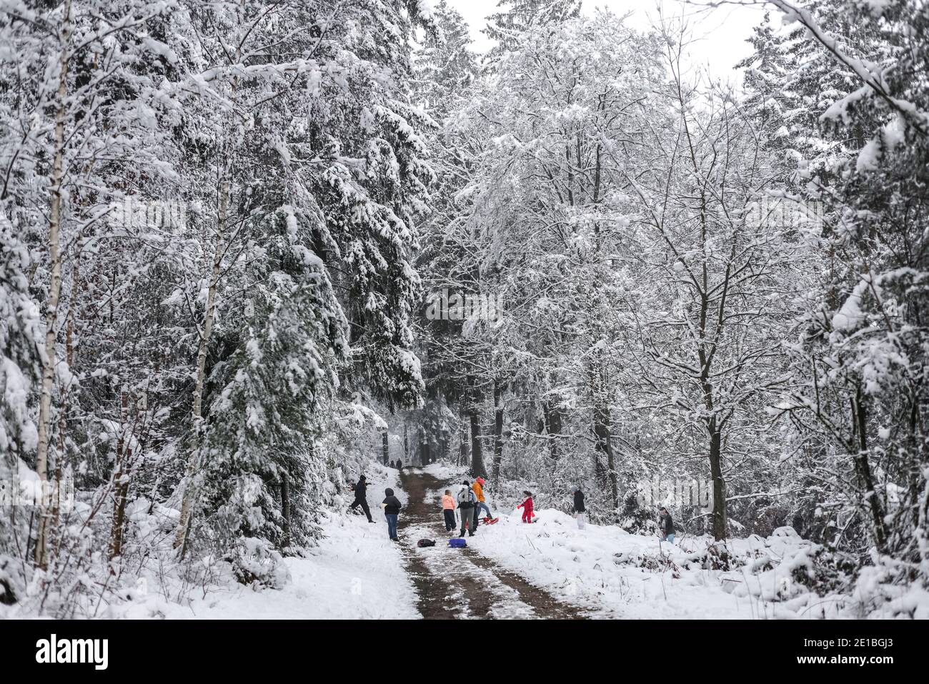 Eifel, PrŸm, 02.01.21: Feature Winterlandschaft in der Eifel, auf der Suche nach dem richtigen Berg zum Schlitten fahren. Foto Stock