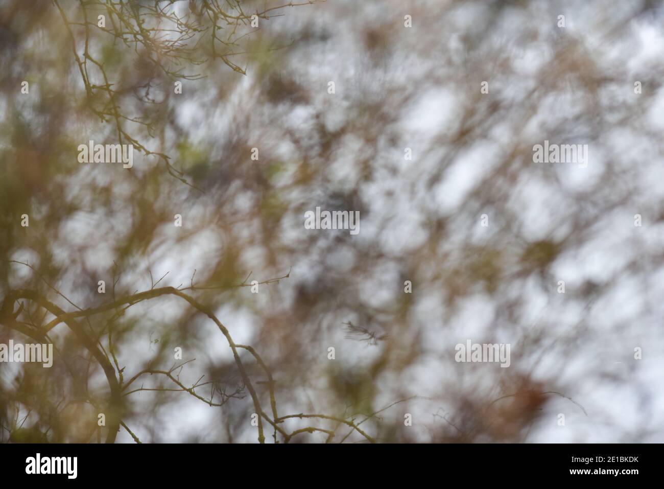 Sfondo sfocato astratto. Bokeh. Sfondo sfocato astratto. Bokeh. Foto Stock
