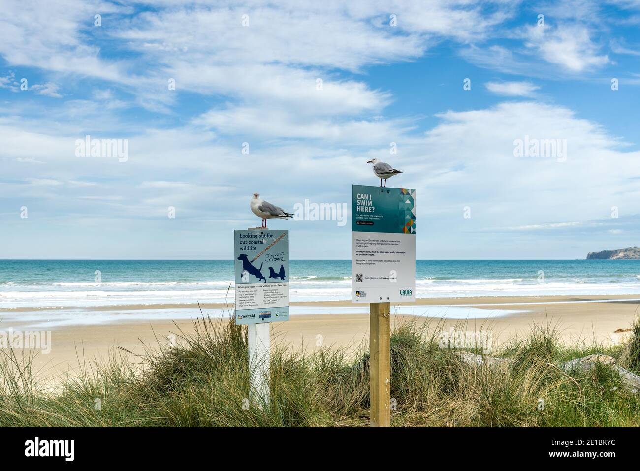 Indicazioni per Hampden Beach Otago Nuova Zelanda Foto Stock