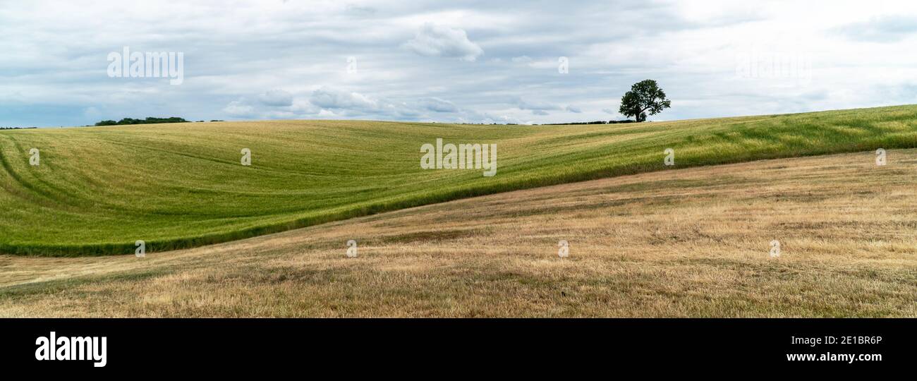 Linslade landcsape Foto Stock