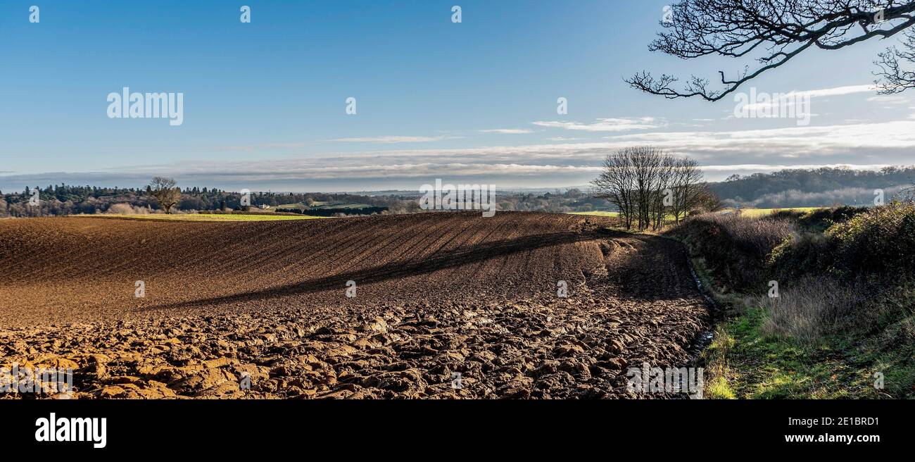 Paesaggio di Alba Foto Stock