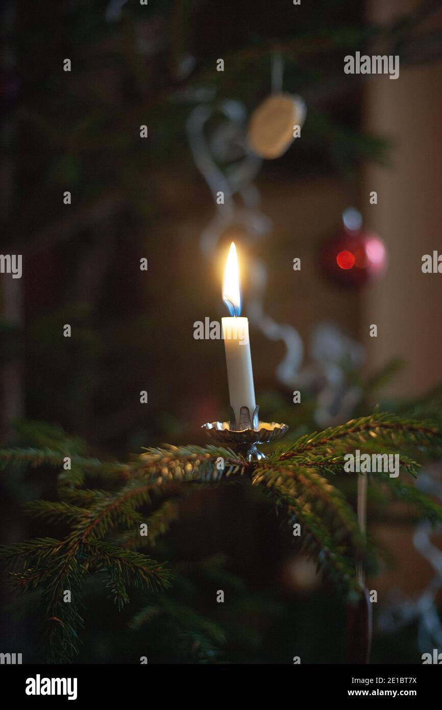 Una candela in un albero di natale foto: Bo Arrhed Foto Stock