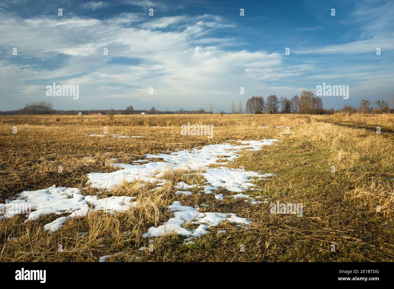 Poca neve su un prato asciutto, alberi e cielo Foto Stock