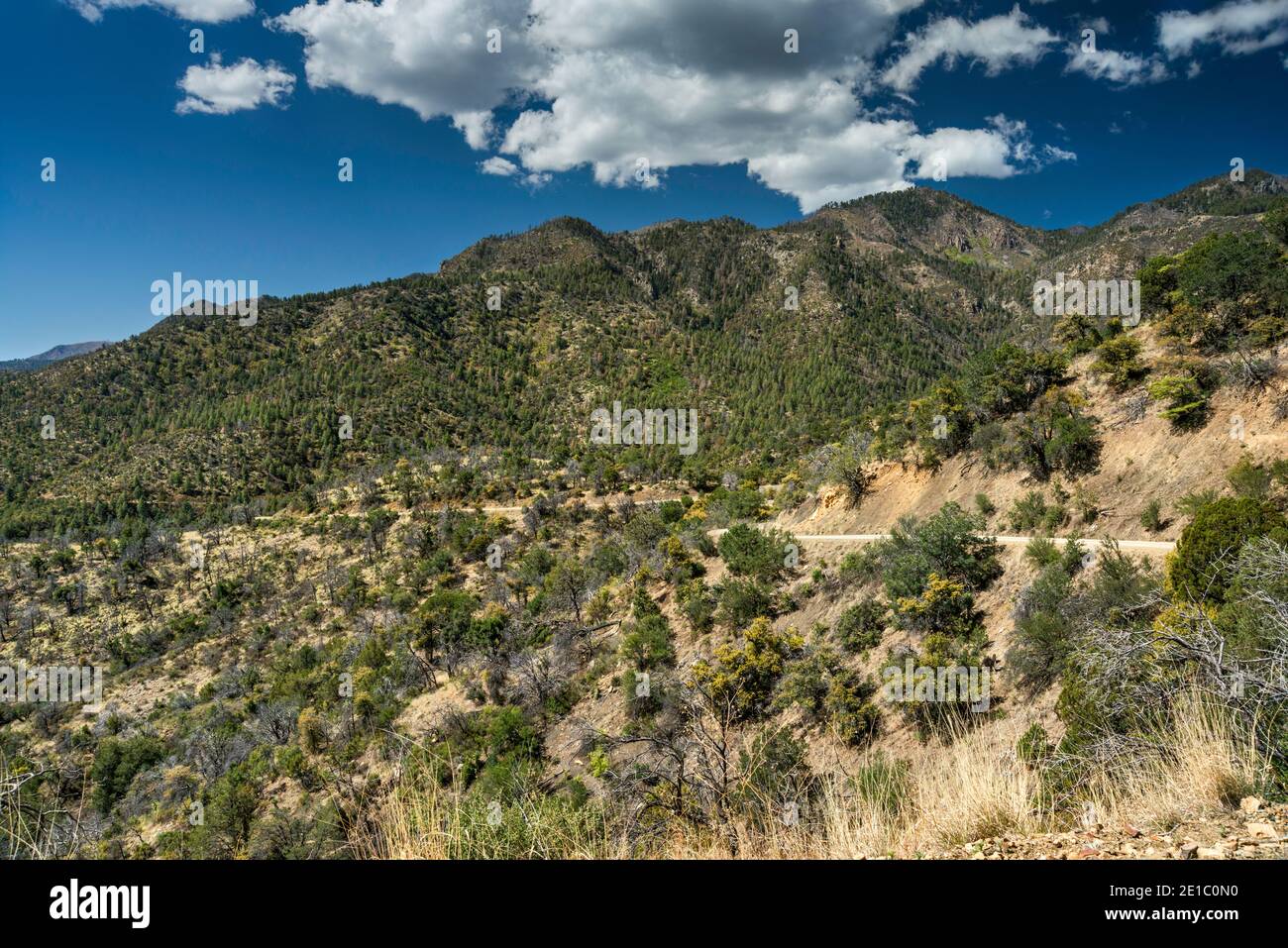 Barfoot Peak e Buena Vista Peak, vista da FR 42, Pinery Canyon Road, Juniper Woodland, Coronado National Forest, Chiricahua Mountains, Arizona, USA Foto Stock