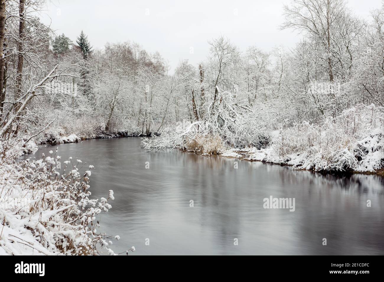 Foto a lunga velocità dell'otturatore dell'acqua fluente nella natura invernale, circondata da alberi ricoperti di neve fresca. Fiume Keila in Estonia. Foto Stock