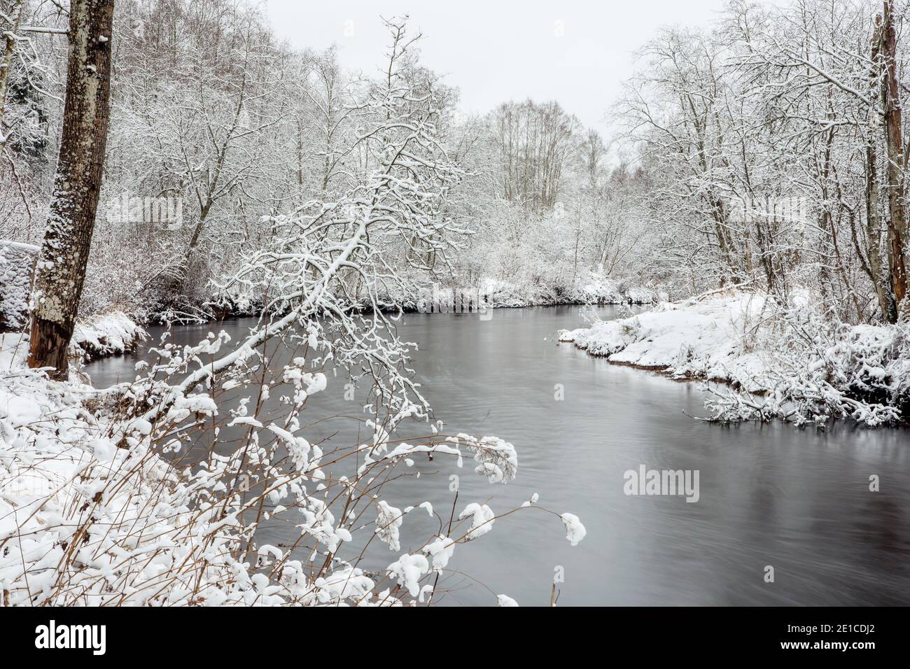 Foto a lunga velocità dell'otturatore dell'acqua fluente nella natura invernale, circondata da alberi ricoperti di neve fresca. Fiume Keila in Estonia. Foto Stock