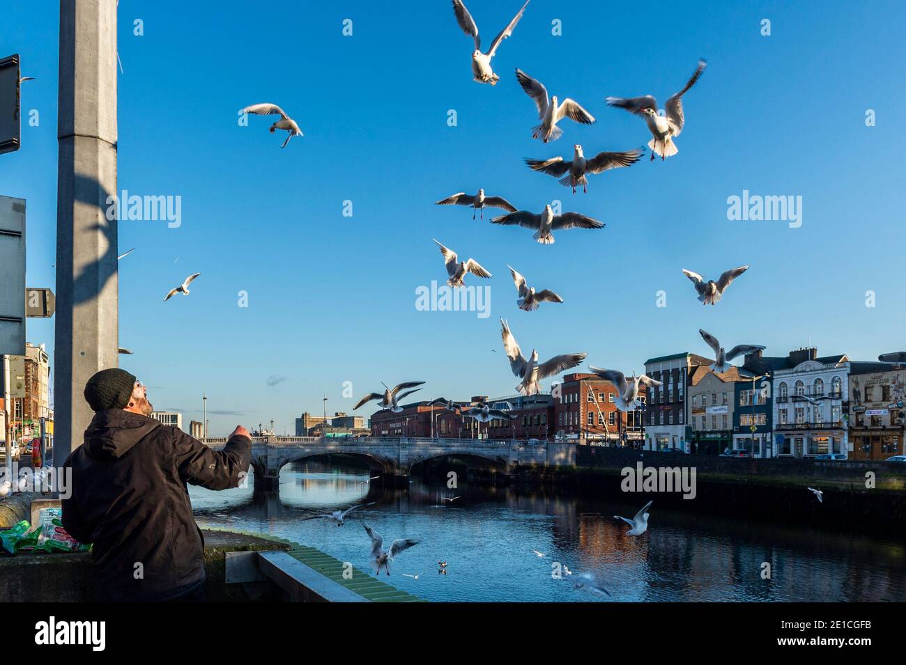 Cork, Irlanda. 6 gennaio 2021. Nel pomeriggio, nel centro di Cork, durante una giornata di sole invernale, si vede un uomo che alimenta i gabbiani. Credit: AG News/Alamy Live News Foto Stock