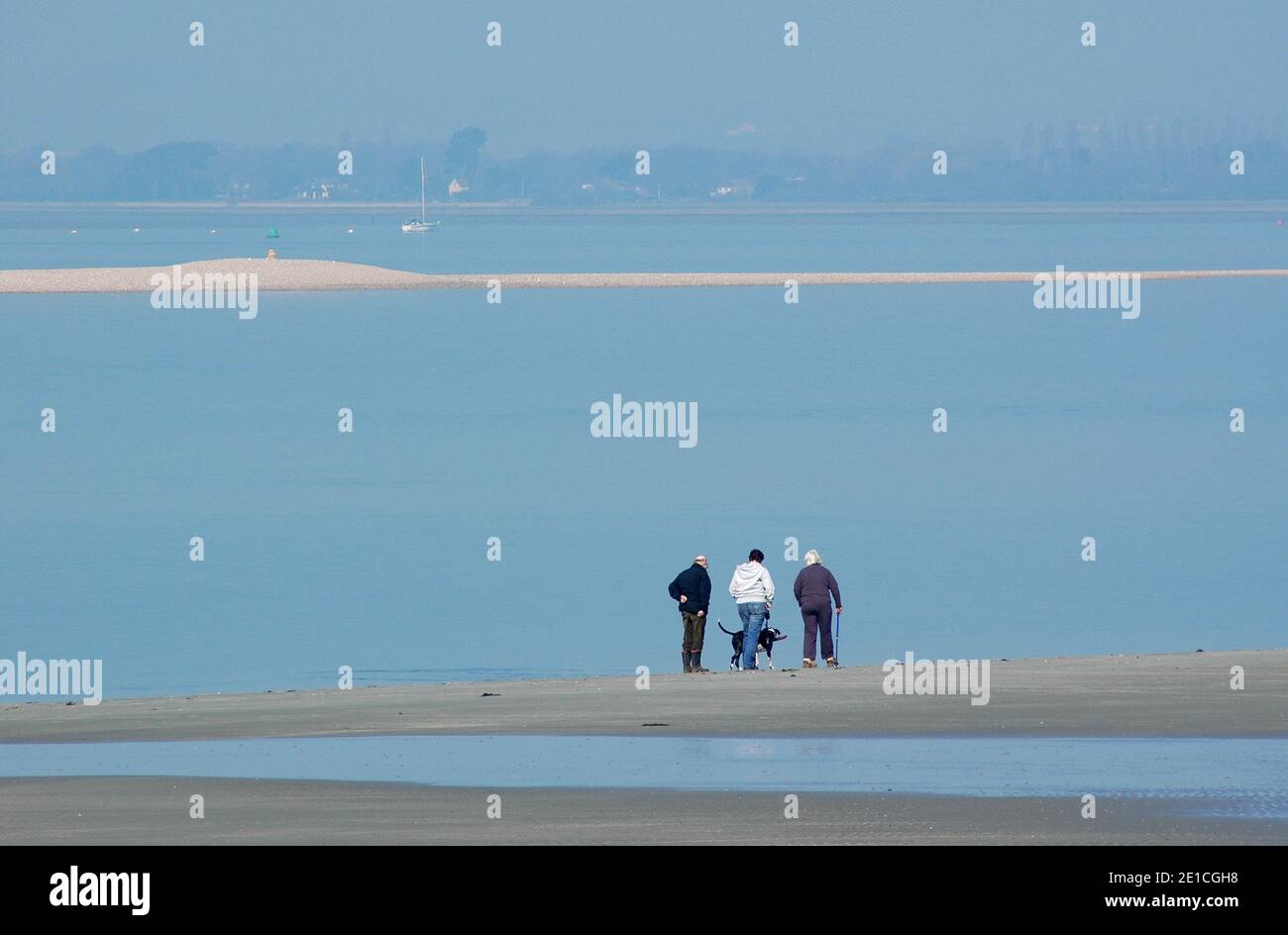 Escursionisti con il cane a West Wittering Beach a bassa marea, Chichester, West Sussex, Inghilterra, Regno Unito. Marzo. Mattina frizzante. Hayling Island, Hampshire, oltre. Foto Stock