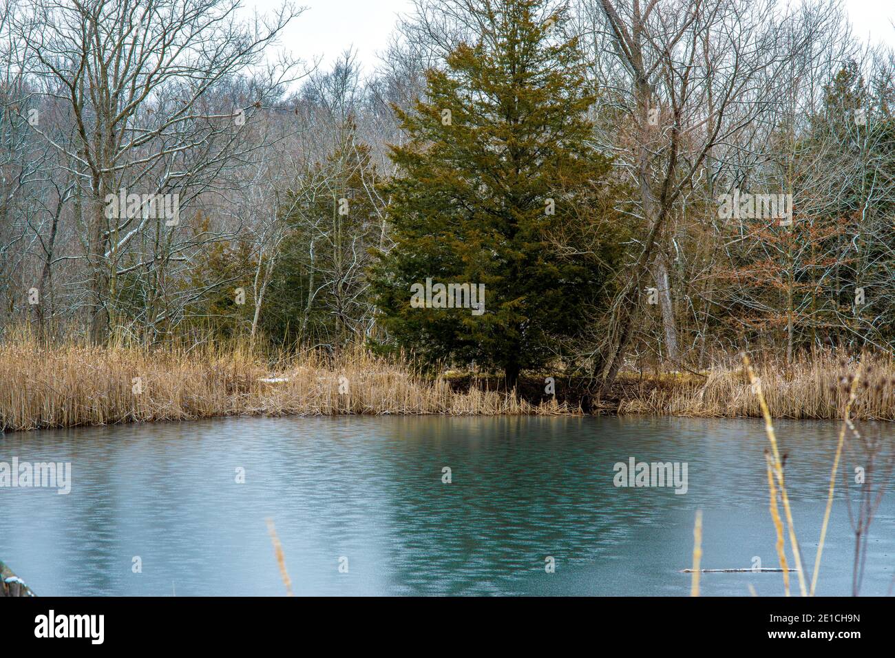 Stagno congelato circondato da stalle e alberi sempreverdi al Charleston Falls Metro Park a Tipp City, Ohio. Gennaio 2021 Foto Stock