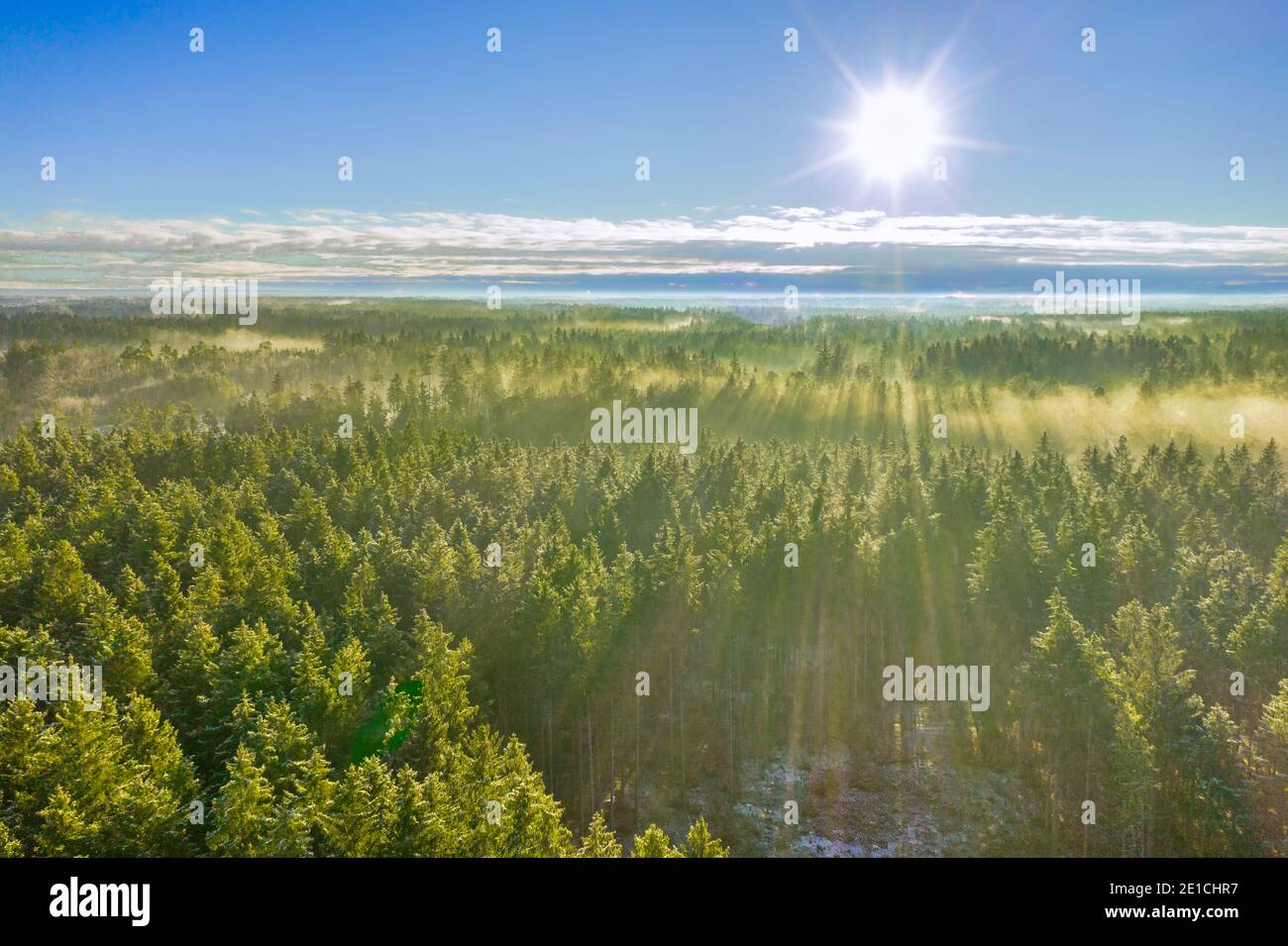Drone foto di nebbia alba sulla foresta, luce solare dorata con raggi e ombre. Foto Stock