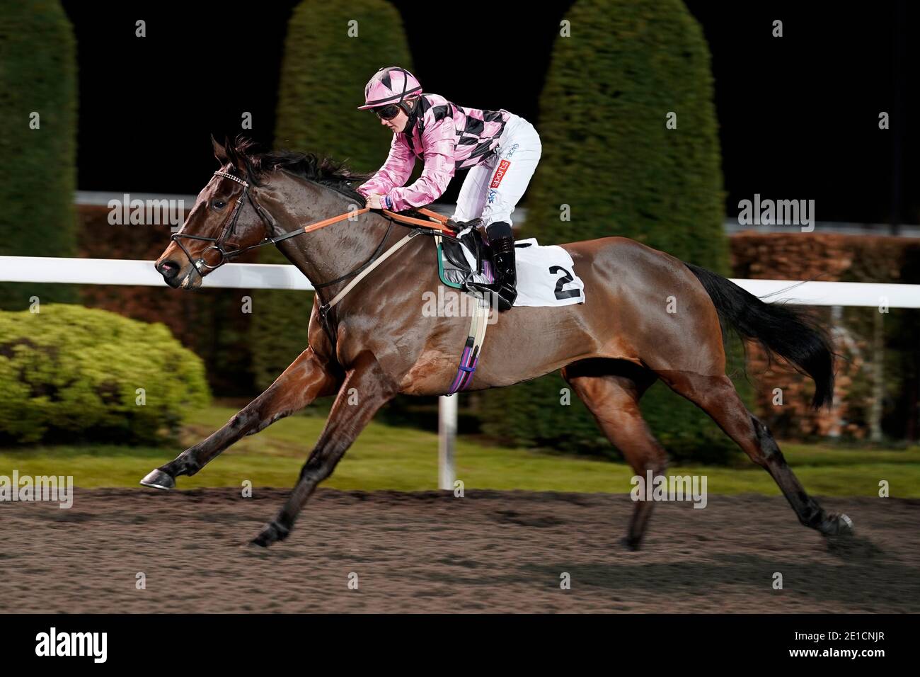 Hollie Doyle Riding Great esteem vince le offerte Unibet Extra Place ogni giorno Novice Stakes presso l'ippodromo di Kempton Park. Foto Stock