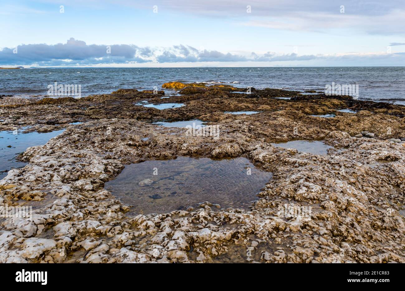 Fori circolari nella roccia calcarea creati durante l'azione sedimentaria in tempo geologico, Whitesands Bay, East Lothian, Scozia, Regno Unito Foto Stock