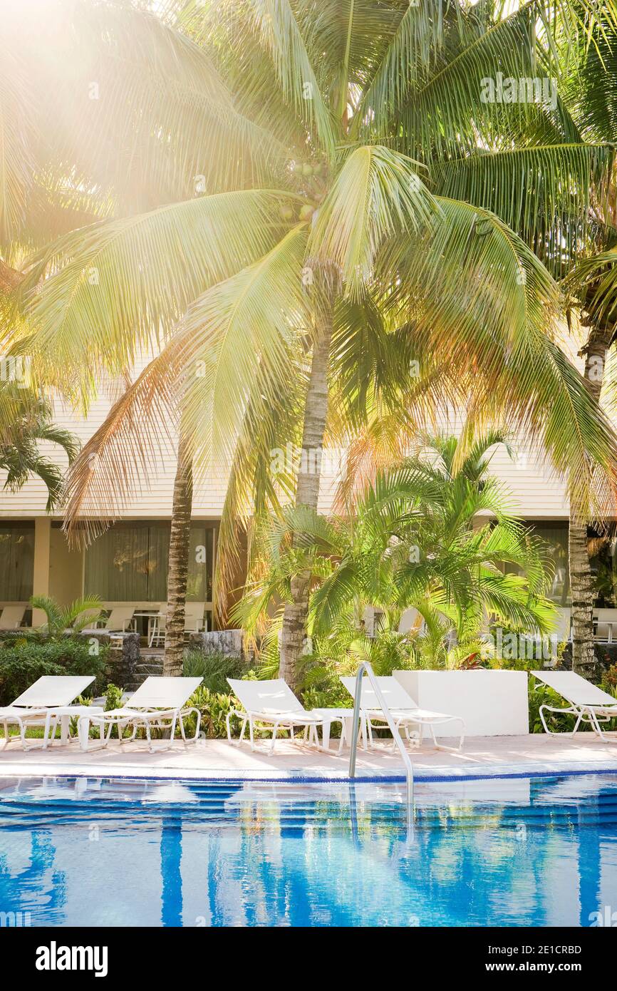 La piscina dell'hotel è vicina e il sole splende tra le palme di Cozumel, Messico Foto Stock
