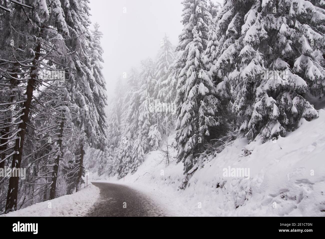 Strada vuota nel paesaggio invernale circondata da abeti innevati nella Foresta Nera, Germania Foto Stock