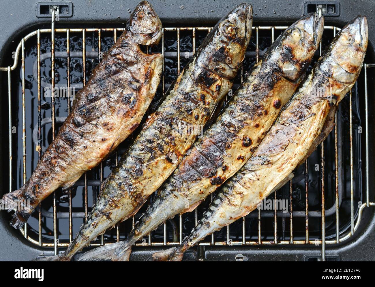Barbecue con pesce. Pesce sgombro alla griglia. Il pesce grasso e oleoso è una fonte eccellente e sana di DHA e EPA, che sono due tipi chiave di acido omega-3 Foto Stock