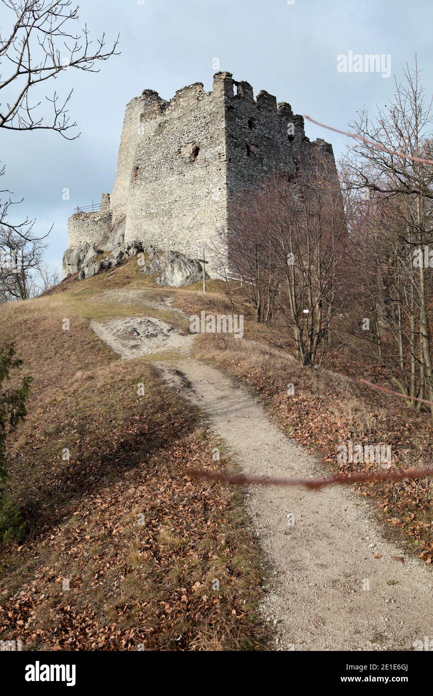 Castello rovina Tematin nella Slovacchia occidentale durante l'inverno ancora senza neve Foto Stock