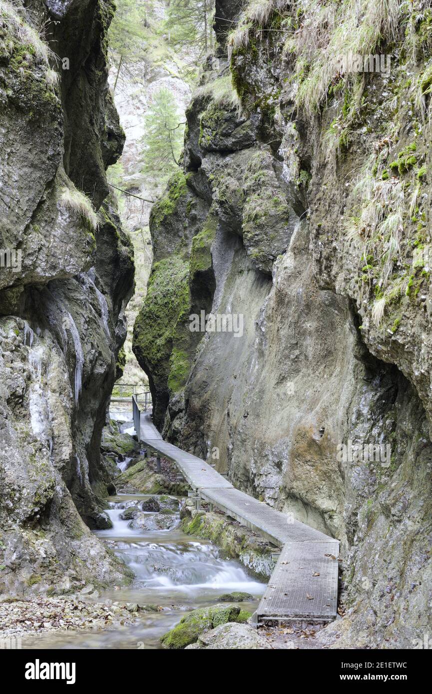 Formazioni di pietra nel Canyon di Janosik (diery di Janosikove) vicino Terchova, Slovacchia Foto Stock