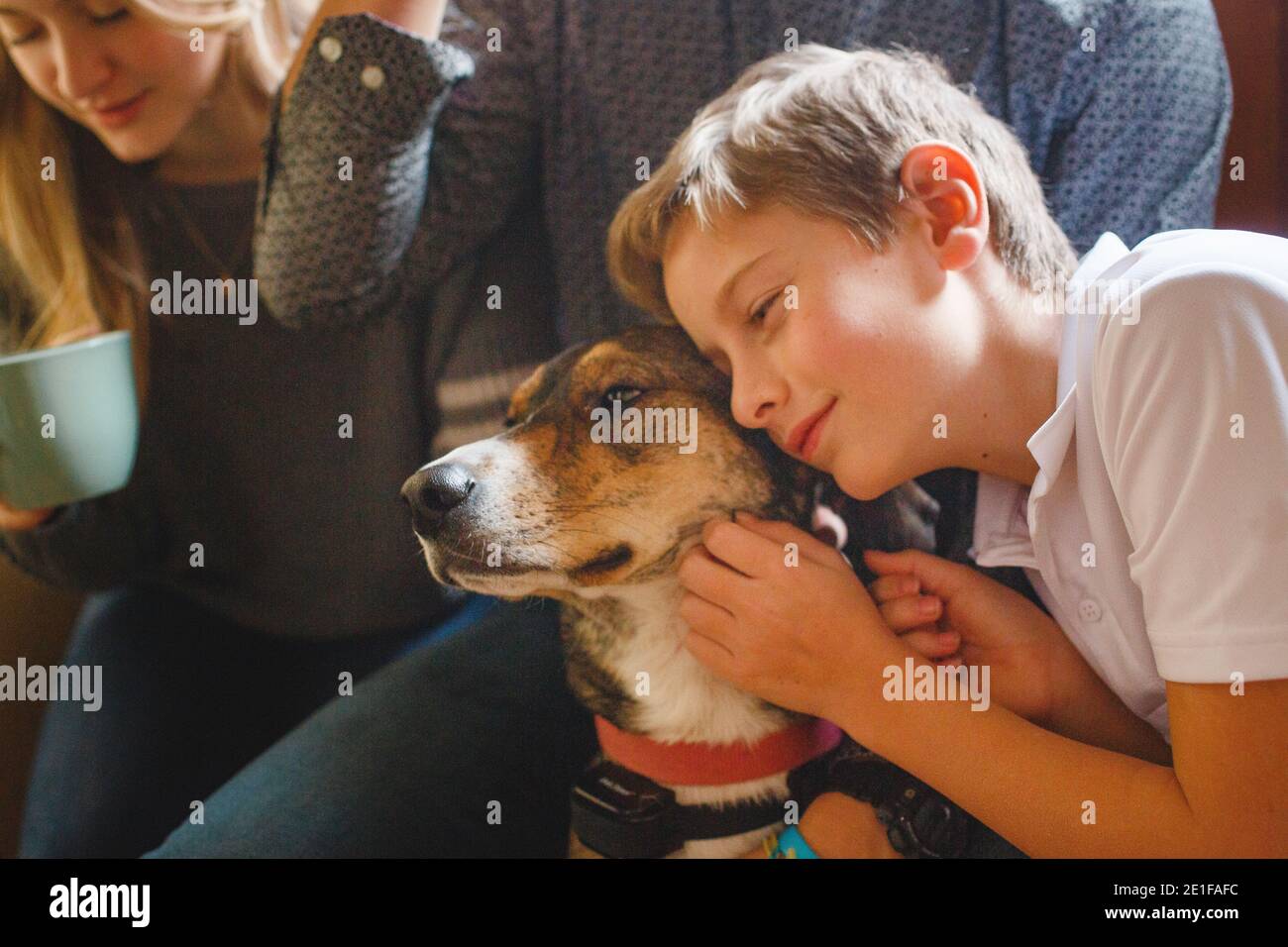 Un ragazzo di Tween seduto con i fratelli, appoggia la guancia contro un cane Foto Stock