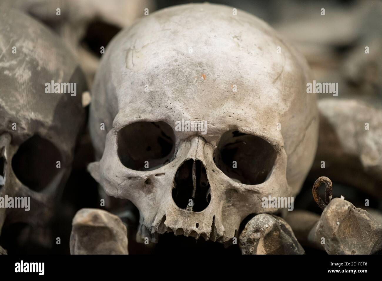 Teschi in mostra presso l'Ossario di Sedlec (Chiesa ossea dell'AKA), UNESCO, Kutna Hora, distretto di Kutna Hora, regione Boemia centrale, Repubblica Ceca Foto Stock