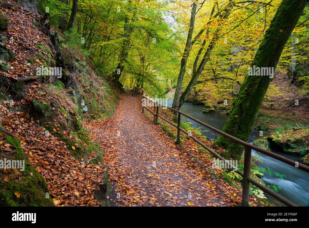 Sentiero escursionistico lungo il fiume Kamenice circondato da una foresta colorata in autunno, Boemia Svizzera Parco Nazionale, Hrensko, Decin Distretto, Usti nad Labem Regione, Repubblica Ceca Foto Stock