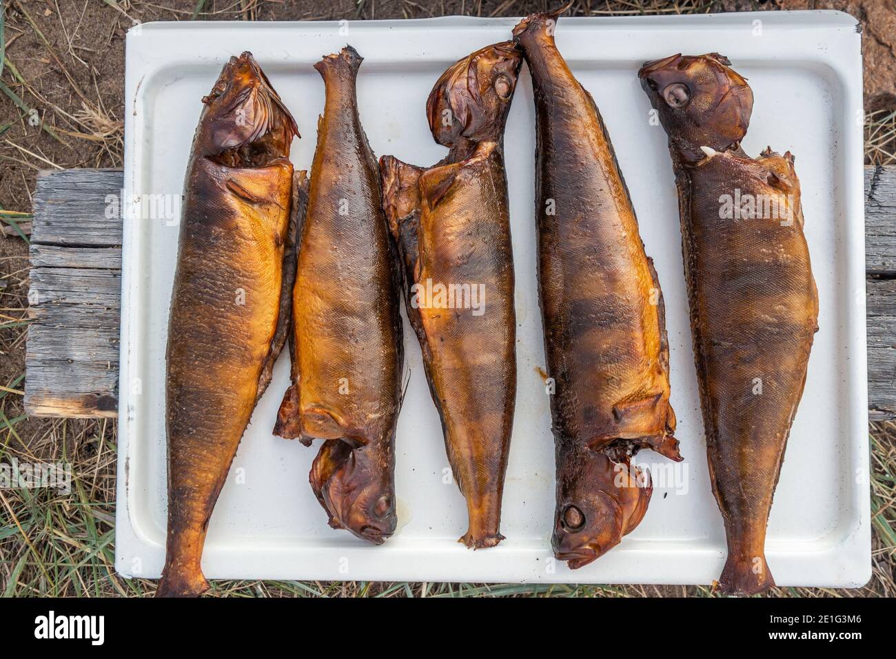 Pesce affumicato fresco e succoso su un vassoio, primo piano. Picnic all'aperto nel cortile di una casa di campagna. Il pesce viene cotto all'aperto. Foto Stock