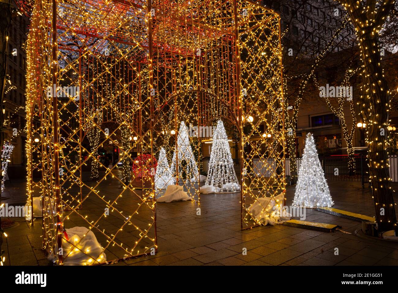 WA19023-00...WASHINGTON - struttura per l'installazione di un pacchetto nel display Winter Lights al Westlake Park di Seattle. Foto Stock