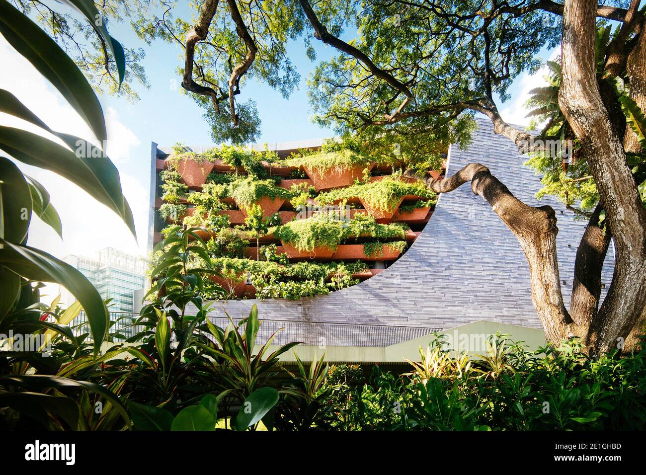 Vista esterna del Lee Kong Chian Natural History Museum, campus NUS, Singapore. Foto Stock