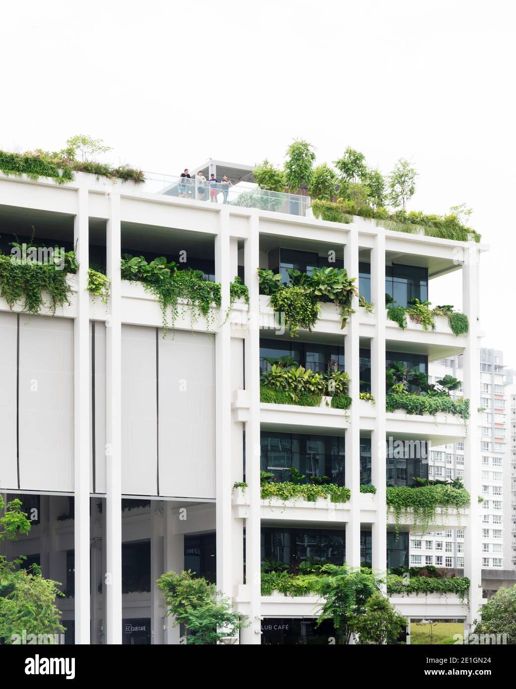 Dettaglio dei giardini del cielo verde a Oasis Terraces, Punggol, Singapore. Foto Stock