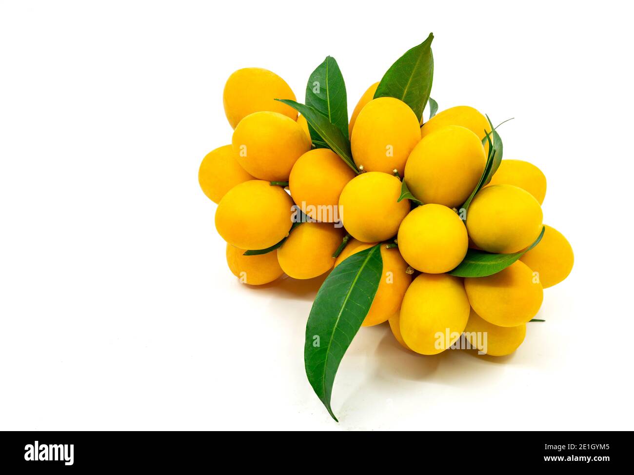 Isolato bel mazzo mariano di prugne o mazzo di prugne di mango su sfondo bianco, frutta tropicale della Thailandia, frutta dolce e agrodolce Asia. Foto Stock