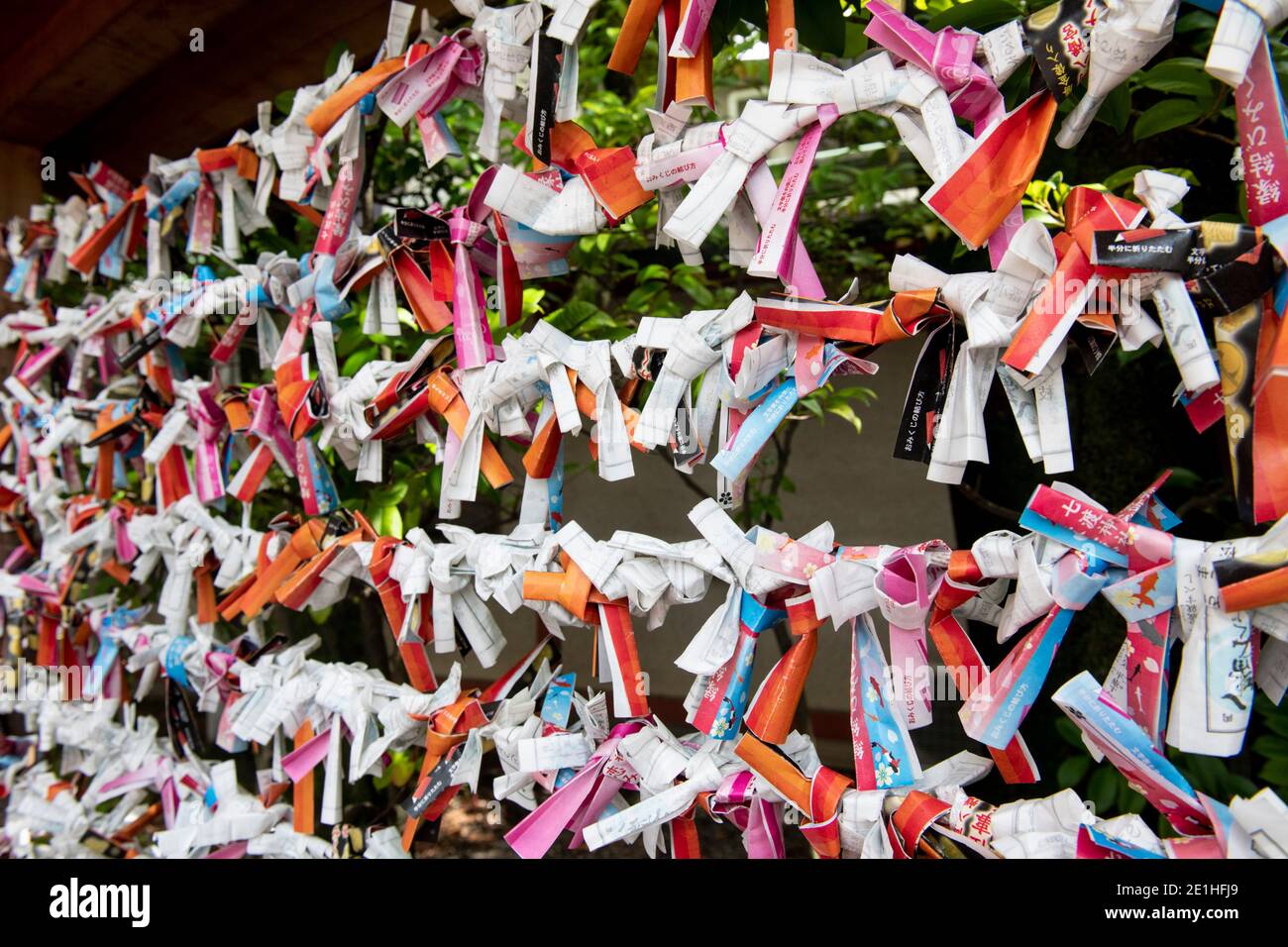 Santuario di Tomioka Hachiman a Tokyo, luogo di nascita della lotta professionale di Sumo Foto Stock