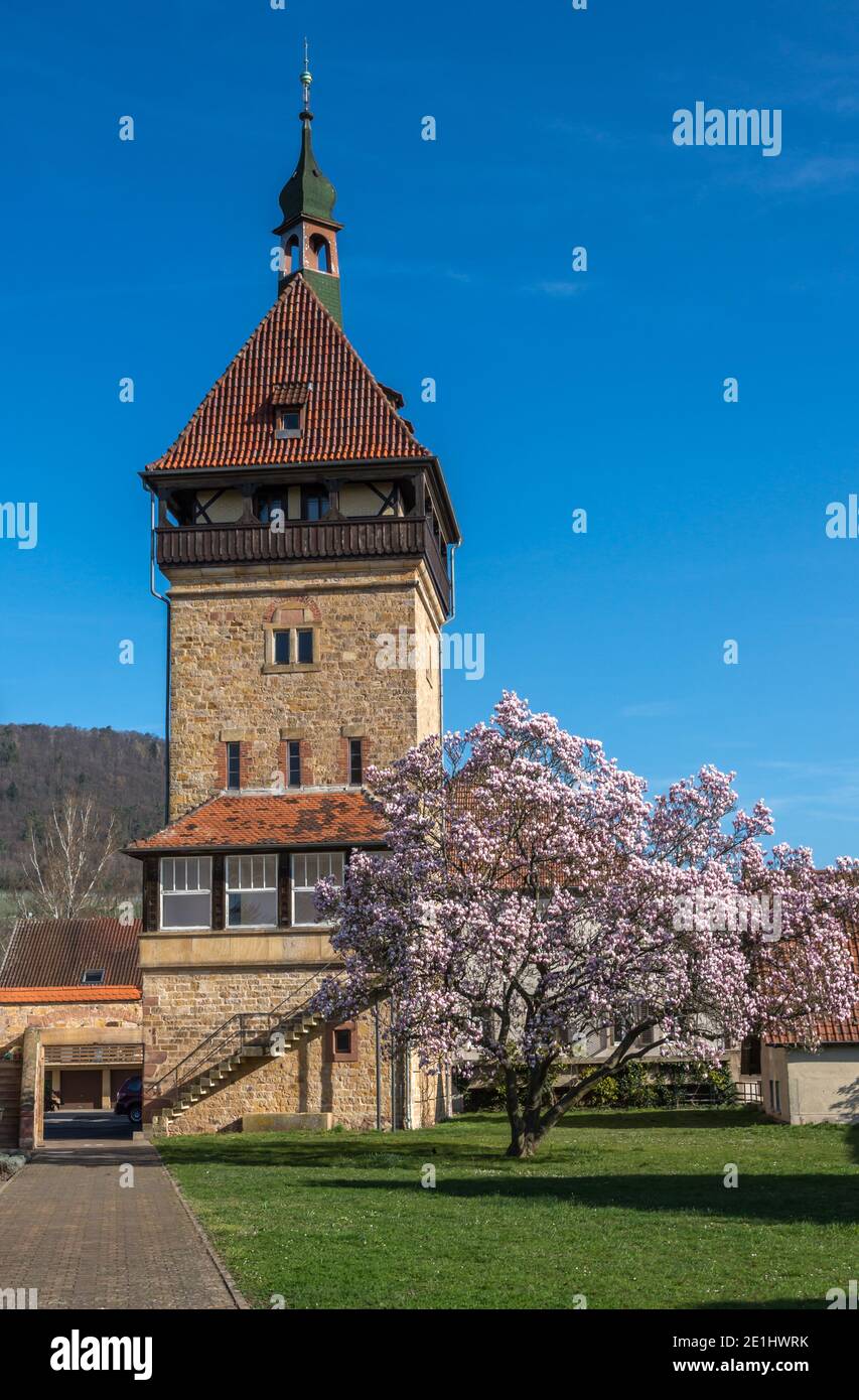 Siebeldingen, Germania - 27 marzo 2019. Geilweilerhof, Istituto di allevamento dell'uva Foto Stock