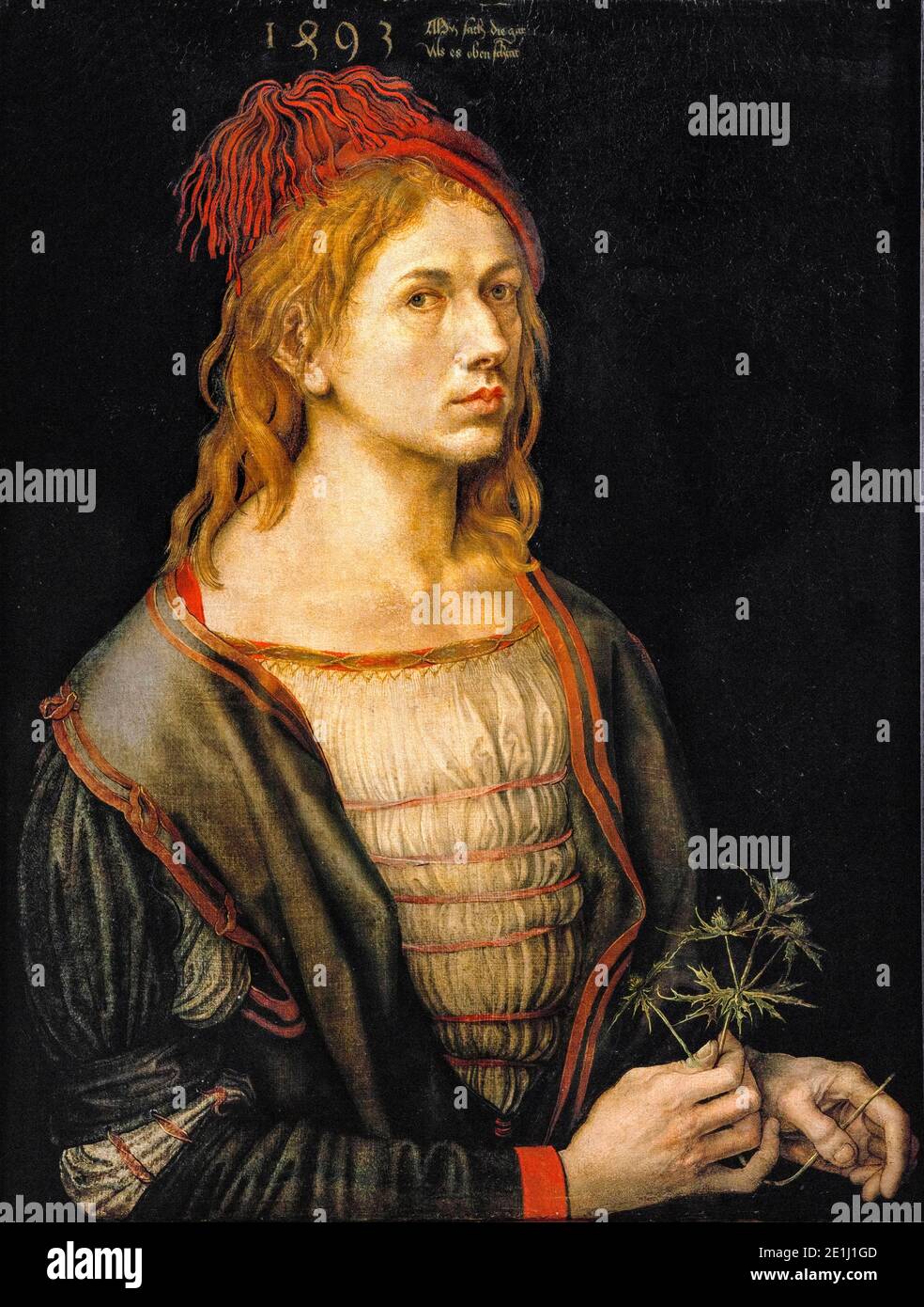 Albrecht Dürer, Self Ritratto (Ritratto dell'artista che tiene un thistle), pittura, 1493 Foto Stock