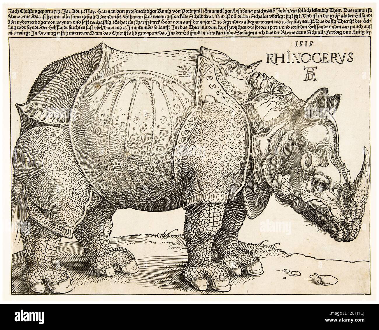 Albrecht Dürer, Rhinoceros, stampa rinascimentale in legno, 1515 Foto Stock