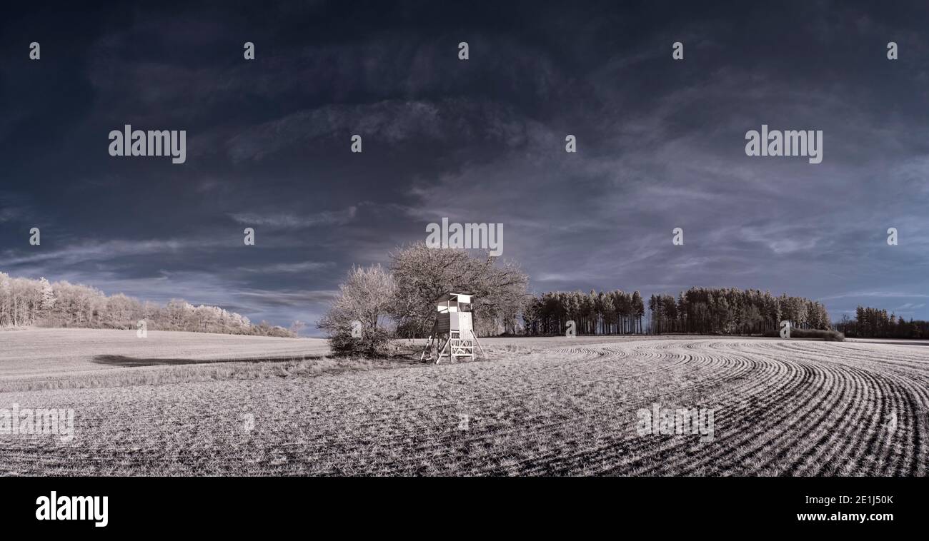 fotografia a infrarossi - ir foto di paesaggio con albero sotto cielo con le nuvole - l'arte del nostro mondo e. piante nello spettro della telecamera a infrarossi Foto Stock