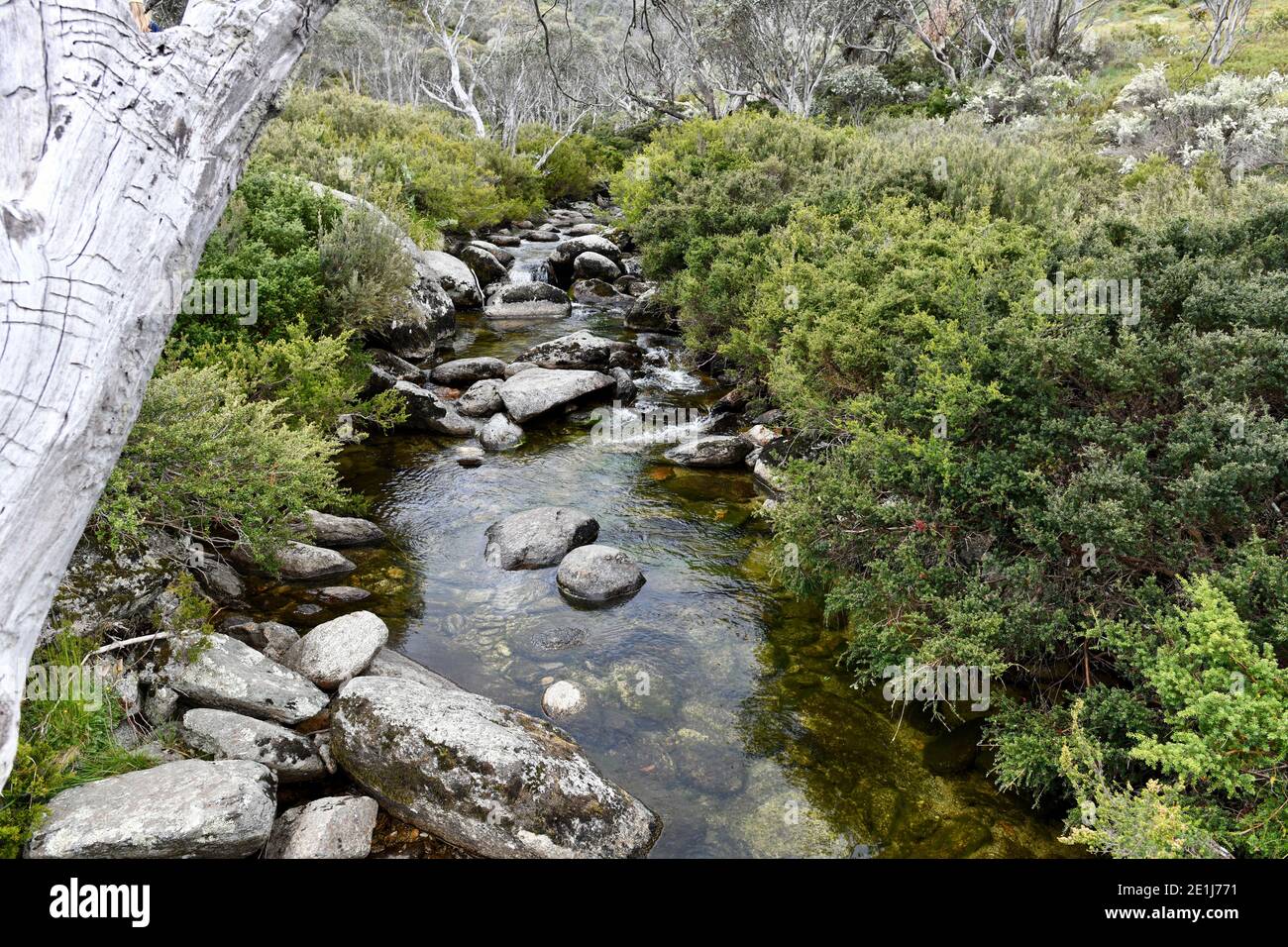 Un ruscello nelle Snowy Mountains dell'Australia Foto Stock