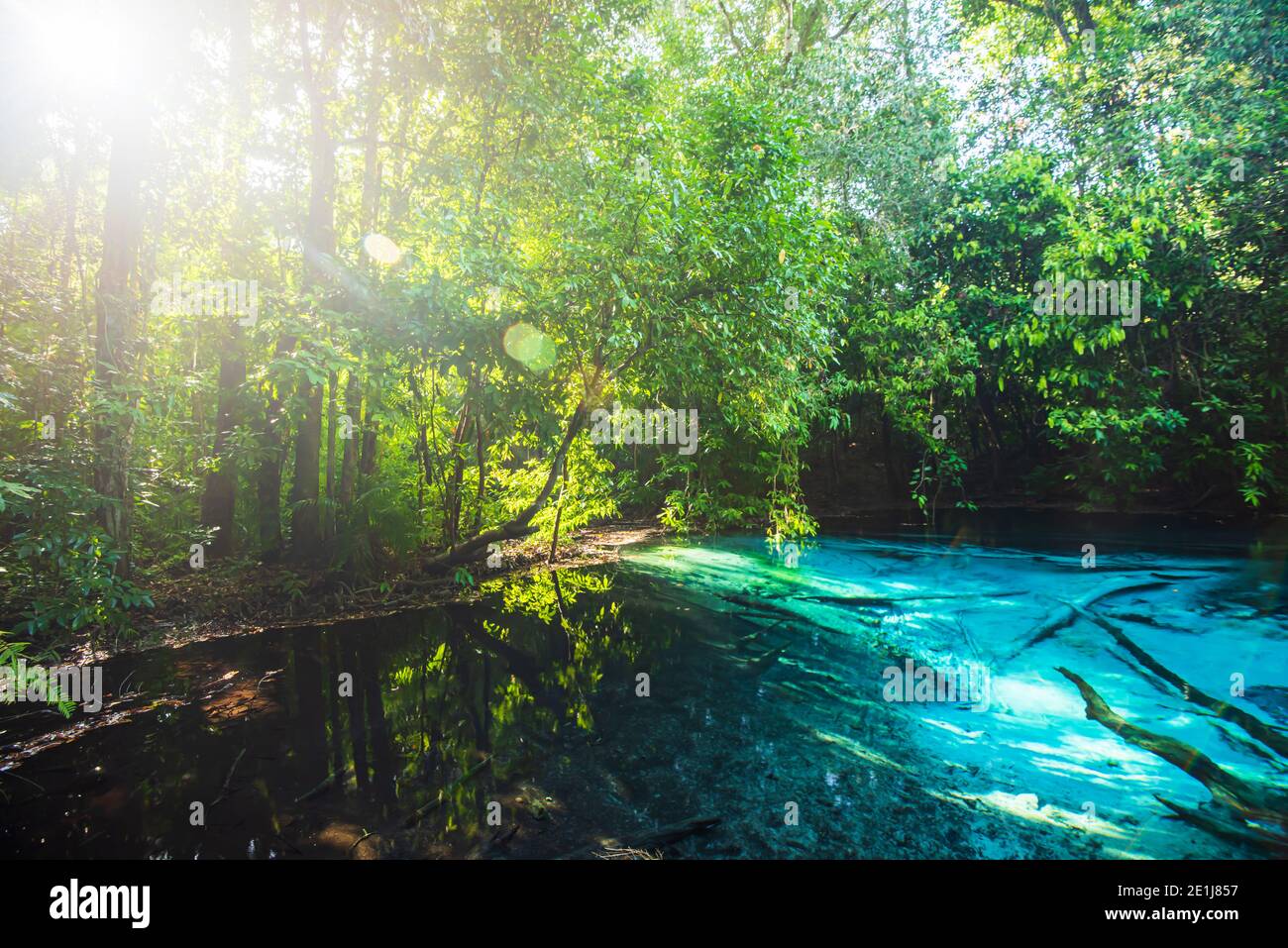 Magica piscina smeraldo nella foresta pianeggiante la mattina d'estate, l'alba splende attraverso alberi selvatici sulla superficie di acqua dolce turchese. Krabi, Tailandia. Foto Stock