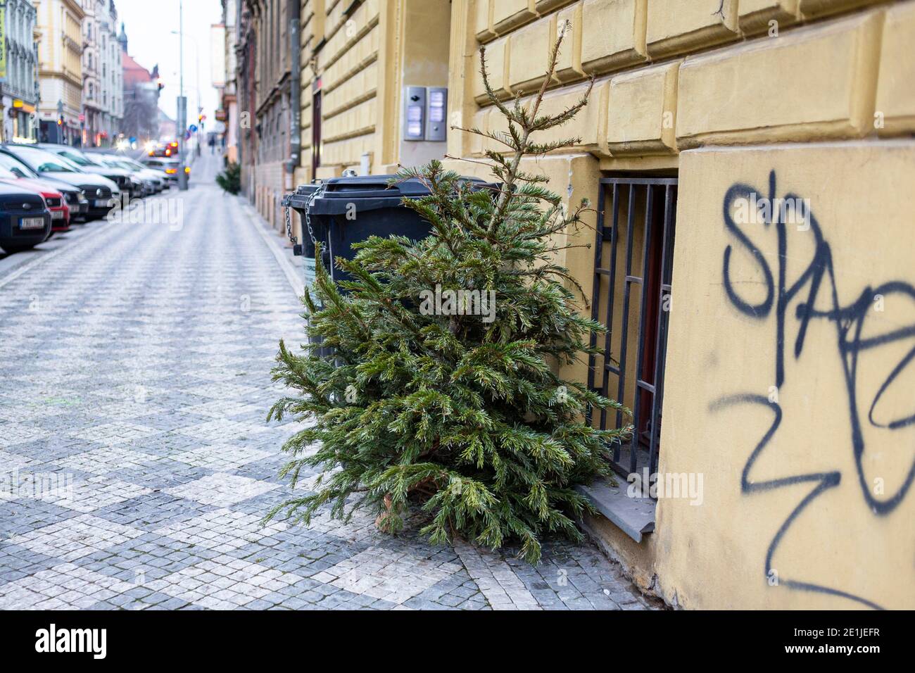 Praga, servizi urbani, riciclaggio, rifiuti, cernita, ecologia, raccolta rifiuti, alberi di Natale. (Foto CTK/Marketa Hofmanova) Foto Stock