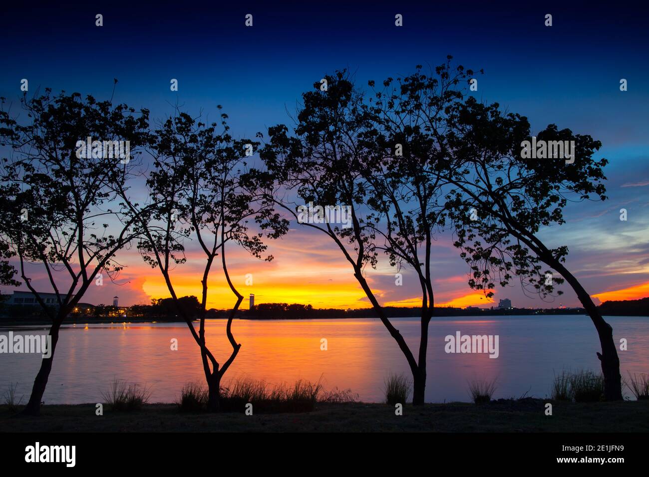 Silhouette albero al tramonto sotto il cielo colorato Foto Stock