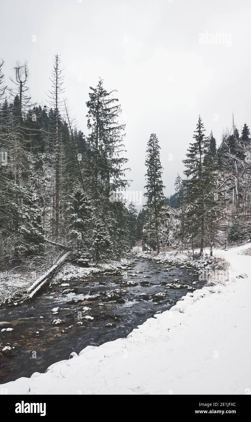 Paesaggio montano invernale della Valle di Koscieliska, colore applicato, Parco Nazionale di Tatra, Polonia. Foto Stock