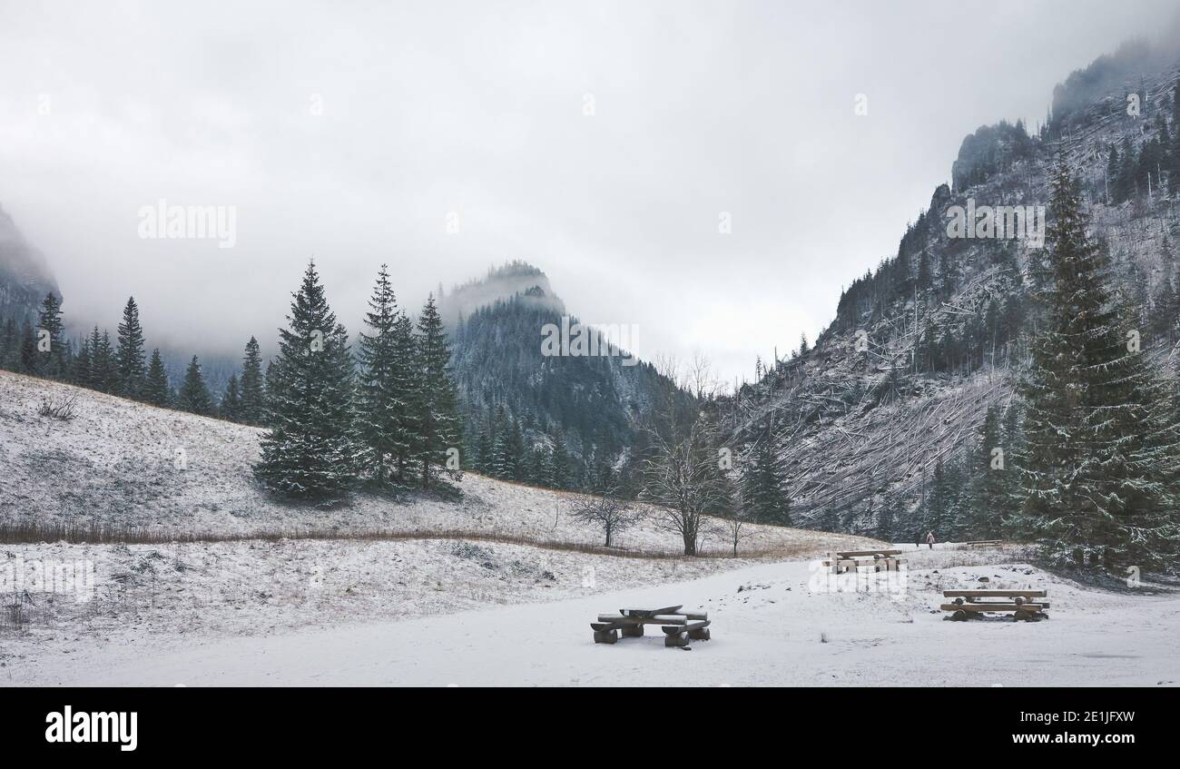 Paesaggio montano invernale della Valle di Koscieliska, colore applicato, Parco Nazionale di Tatra, Polonia. Foto Stock