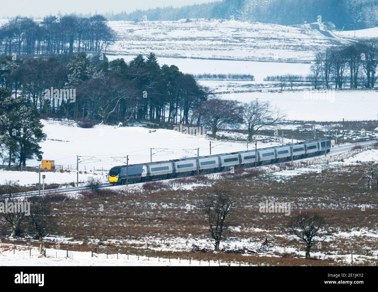 Avanti West Coast Classe 390 Penolinos treno che viaggia verso sud attraverso South Lanarkshire, Scozia, Regno Unito. Foto Stock