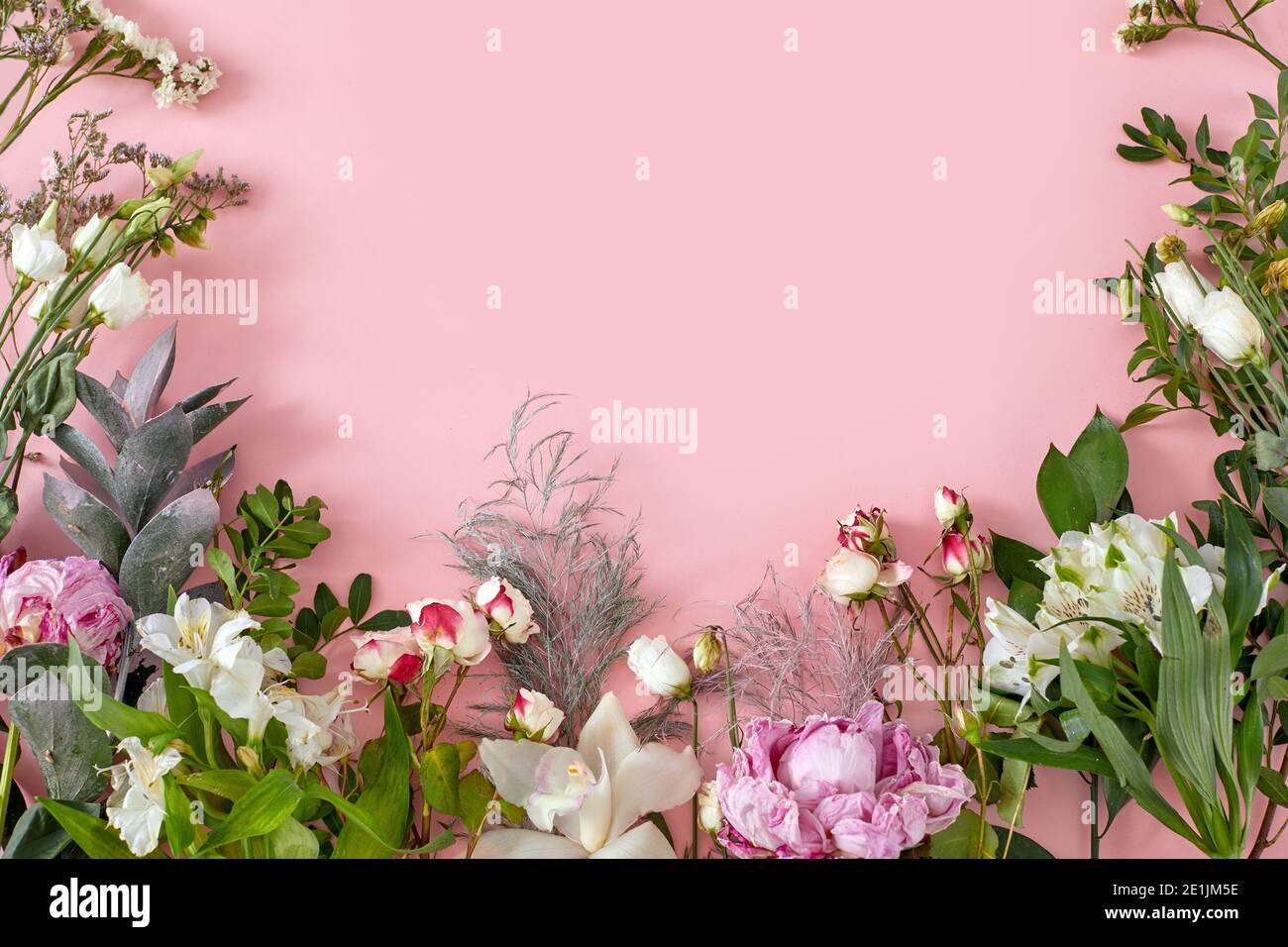 Fiori bianchi alstroemeria rami e foglia verde su sfondo rosa pastello con spazio copia. Dolce e bella carta da parati per San Valentino o matrimonio b Foto Stock