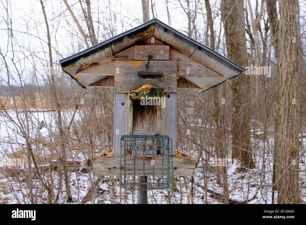 Robusto, nessun-assurdità alimentatore di uccelli in legno su un sentiero escursionistico in inverno fuori di Ottawa, Ontario, Canada. Popolare con i ckadees. Foto Stock